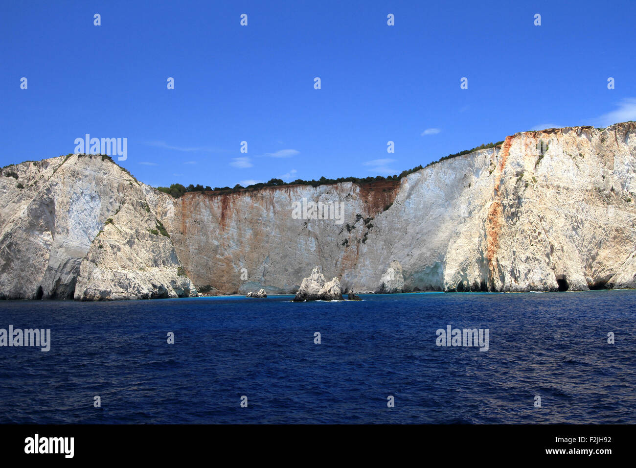 Il fiore di Levante - Zante Foto Stock