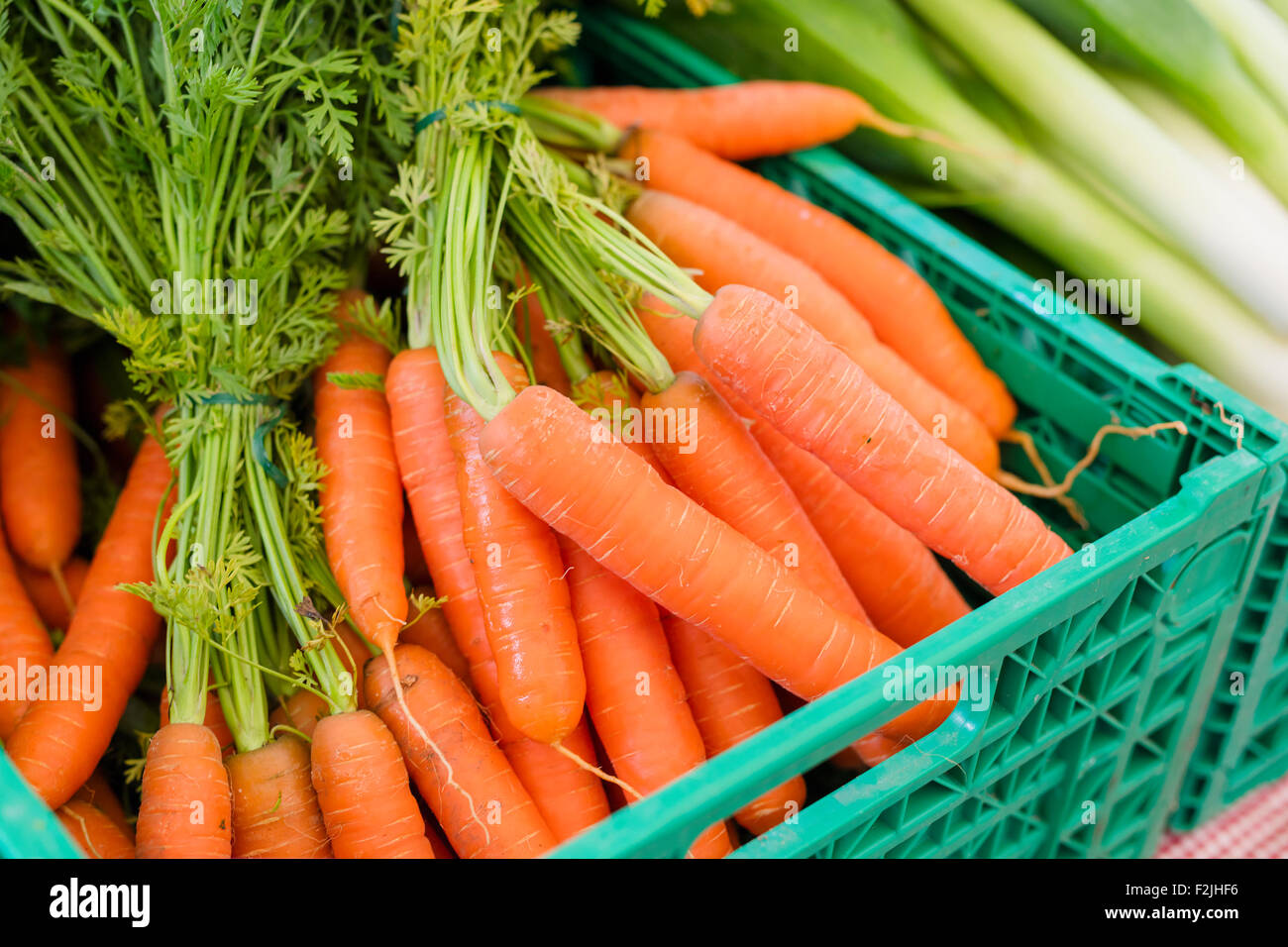 Organici freschi Carote al mercato degli agricoltori Foto Stock
