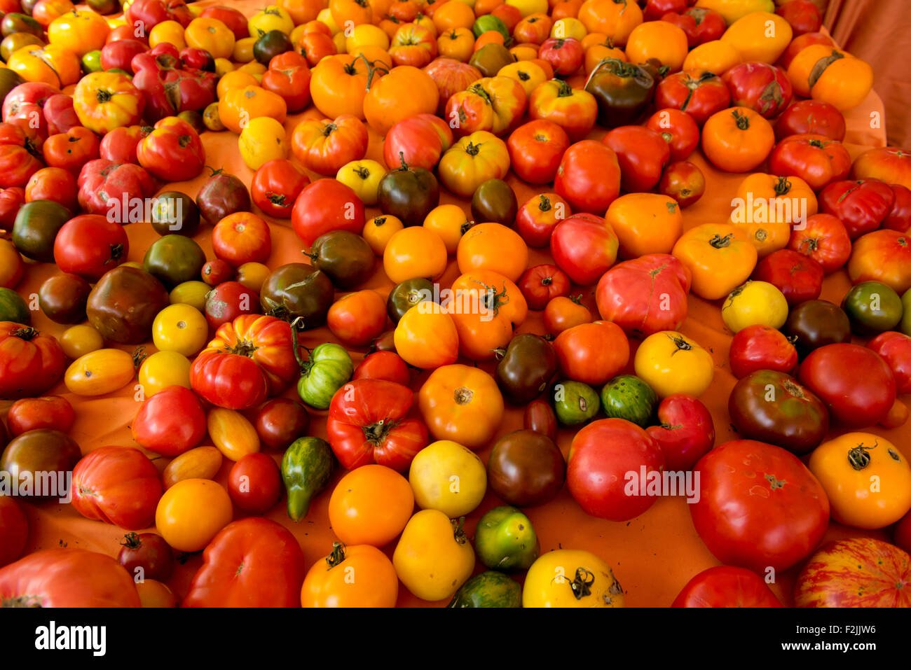 Un display di multi-colore di pomodori del patrimonio in vendita presso la Union Square Mercato in Manhattan, New York City, nello Stato di New York, Stati Uniti Foto Stock