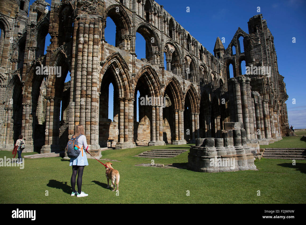 Whitby Abbey è una rovina abbazia benedettina sulla East Cliff al di sopra di Whitby. Essa è stata disestablished durante la dissoluzione del M Foto Stock