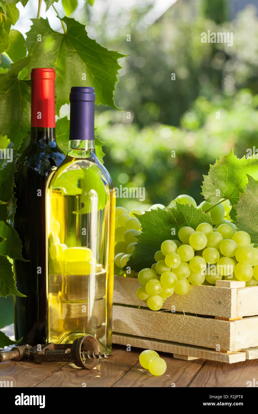 Vino bianco e rosso bottiglie, vigna e del grappolo di uva sul tavolo da giardino Foto Stock