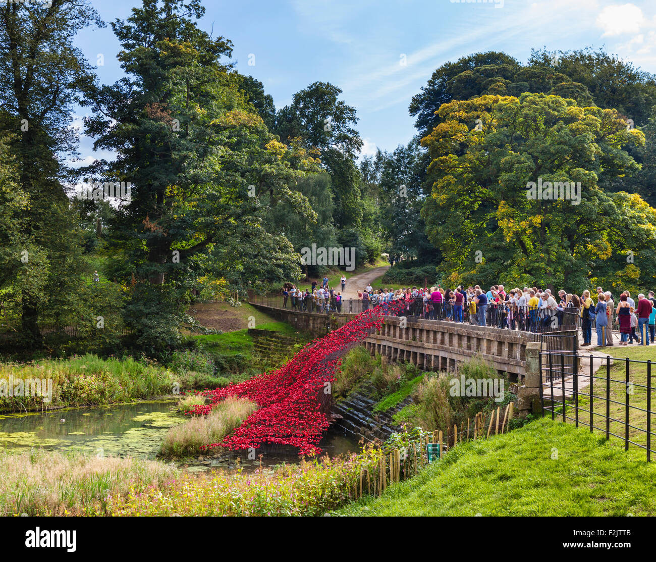 "Papaveri: Onda', dall'installazione " sangue spazzata di terre e mari di rosso' , Yorkshire Sculpture Park, Wakefield, Yorkshire, Regno Unito Foto Stock "Papaveri: Onda', dall'installazione " sangue spazzata di terre e mari di rosso' , Yorkshire Sculpture Park, Wakefield, Yorkshire, Regno Unito Foto Stock