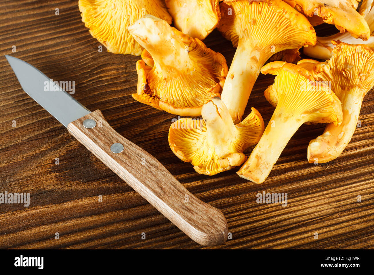 Finferli giallo e il coltello sul tavolo di legno Foto Stock