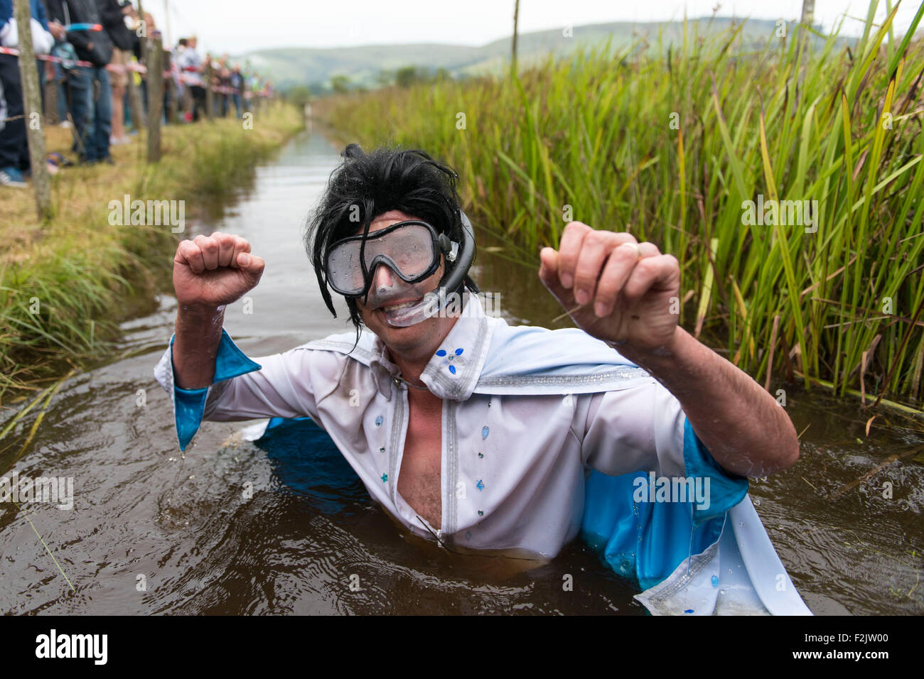 Il mondo della palude campionati di snorkeling presso Waen Rhydd Bog il 30 agosto 2015 a Llanwrtyd Wells, metà del Galles. Foto Stock