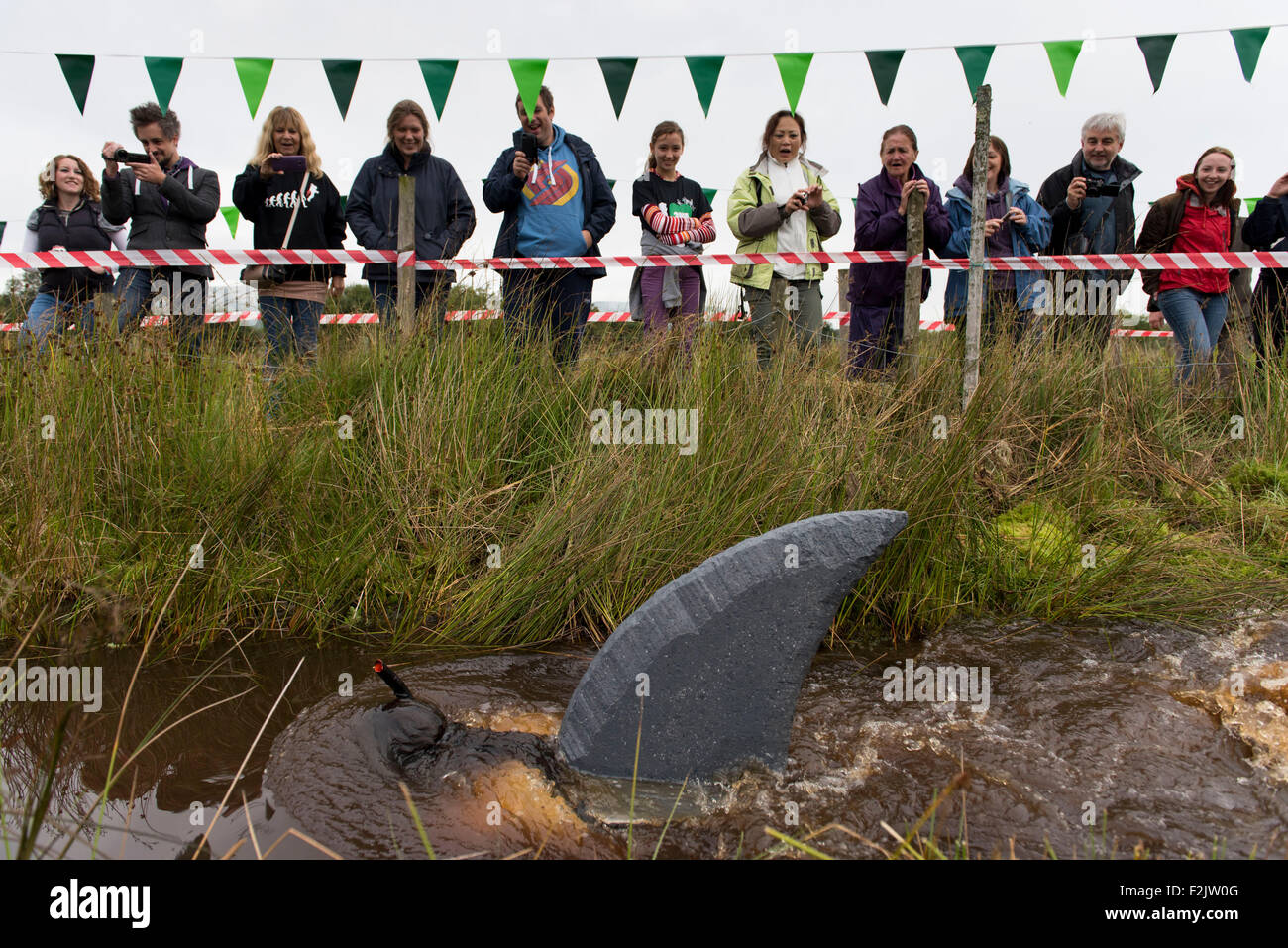 Il mondo della palude campionati di snorkeling presso Waen Rhydd Bog il 30 agosto 2015 a Llanwrtyd Wells, metà del Galles. Foto Stock