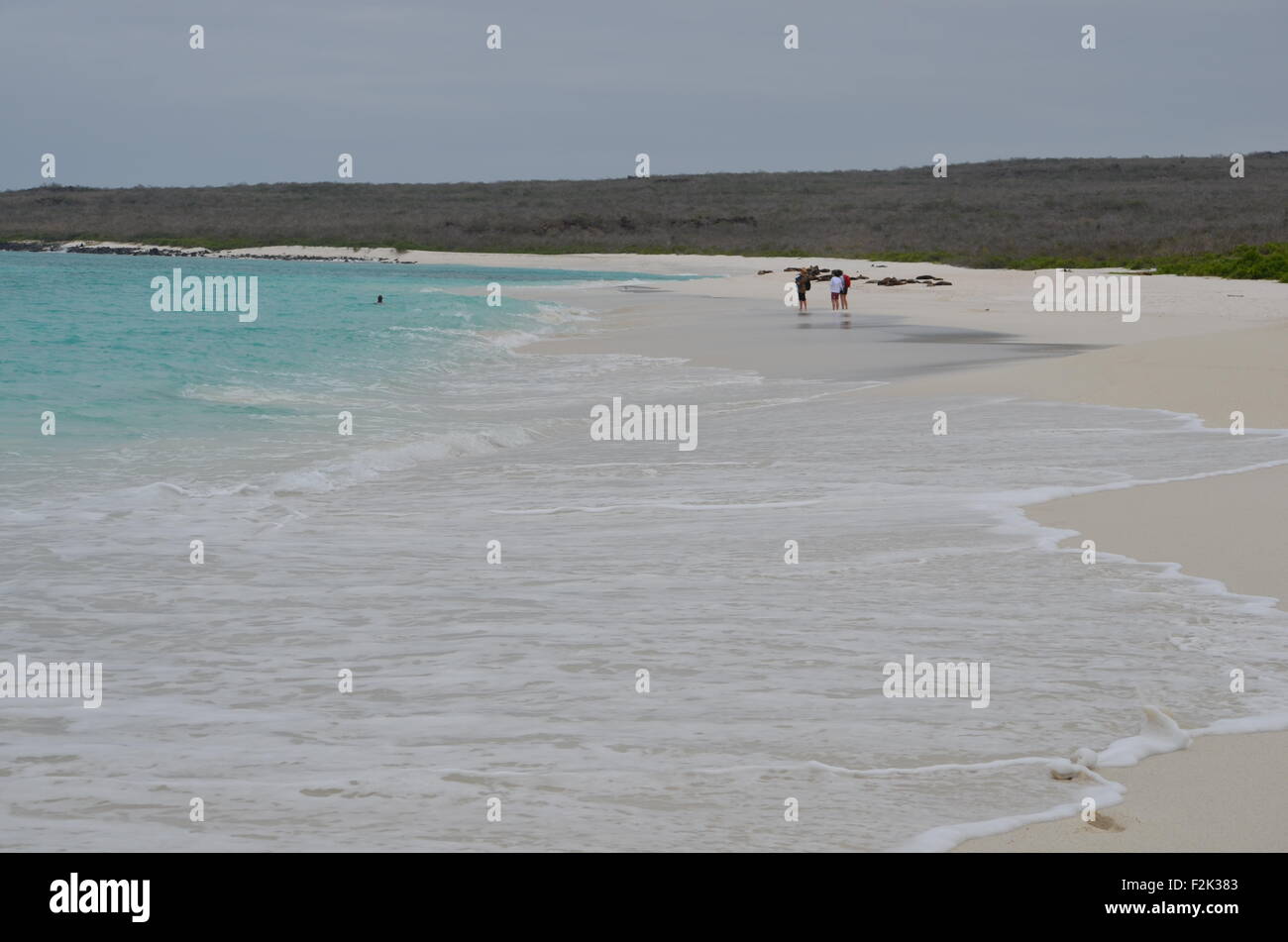 La Baia Gardner, all'Isola Espanola, Galapagos. Foto Stock