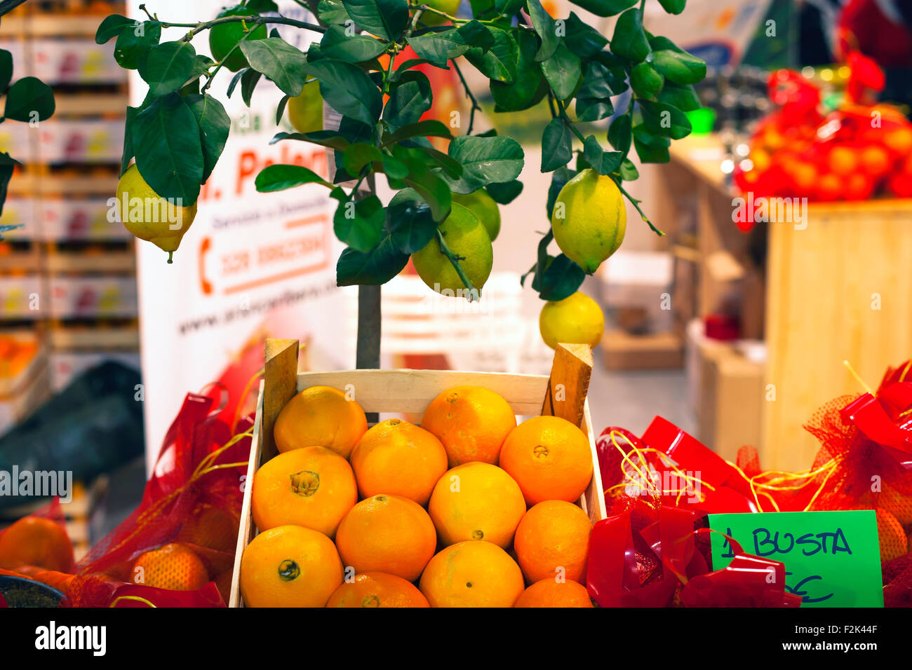 Scatola di dolci arance siciliane e limone Foto Stock