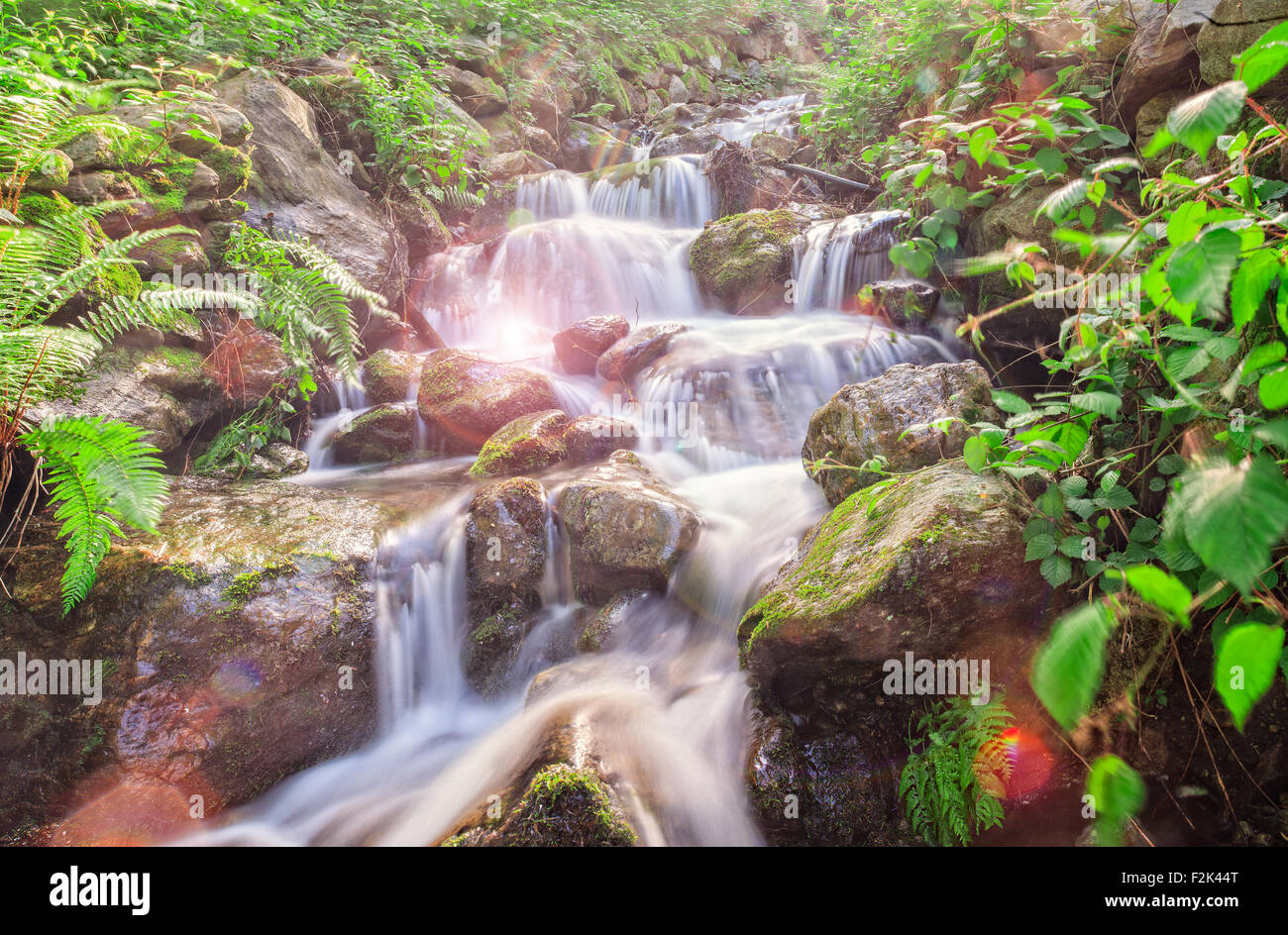 Vista del torrente in Arzo campagna, Verbania. Italia Foto Stock