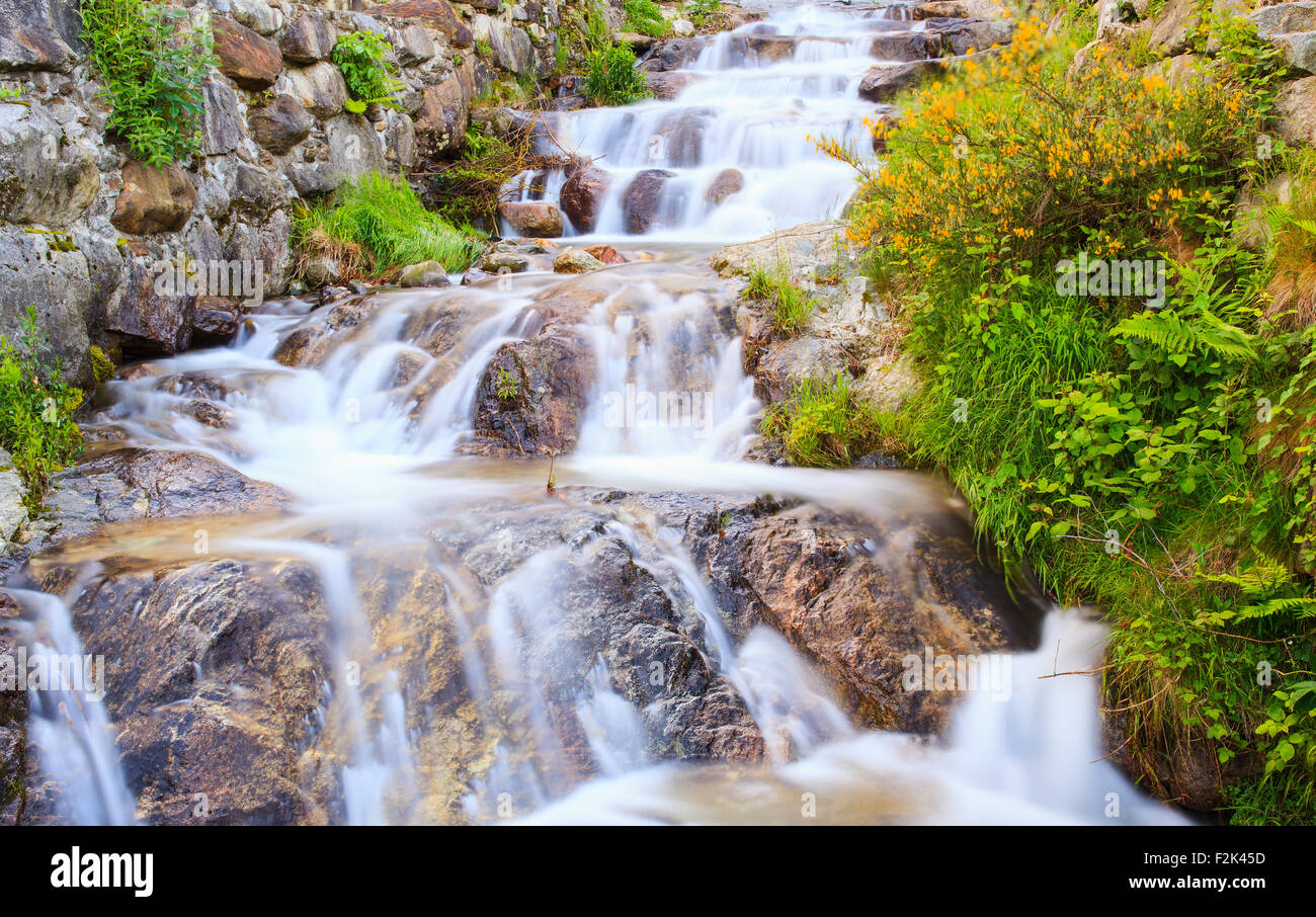 Vista del torrente in Arzo campagna, Verbania. Italia Foto Stock