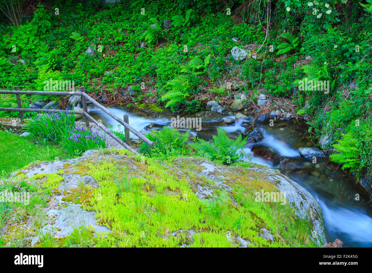 Vista del torrente in Arzo campagna, Verbania. Italia Foto Stock