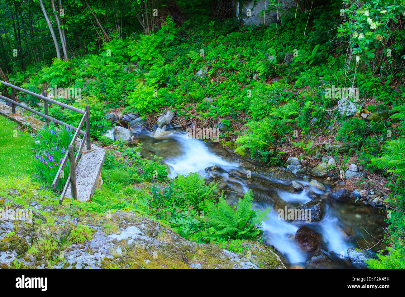 Vista del torrente in Arzo campagna, Verbania. Italia Foto Stock