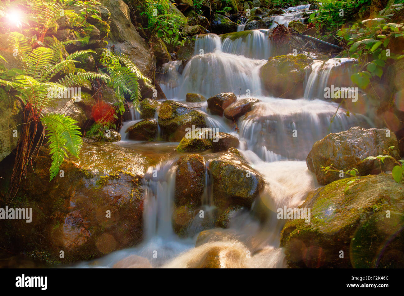 Vista del torrente in Arzo campagna, Verbania. Italia Foto Stock