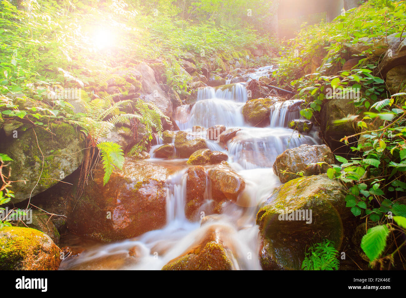 Vista del torrente in Arzo campagna, Verbania. Italia Foto Stock