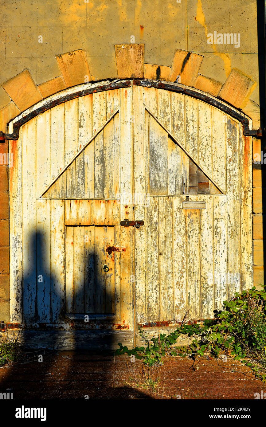 Sportello, legno, ruggine cerniere, freccia, serrature, anvient, storico mal tenuto, warme toni, il caldo sole, erba, Foto Stock