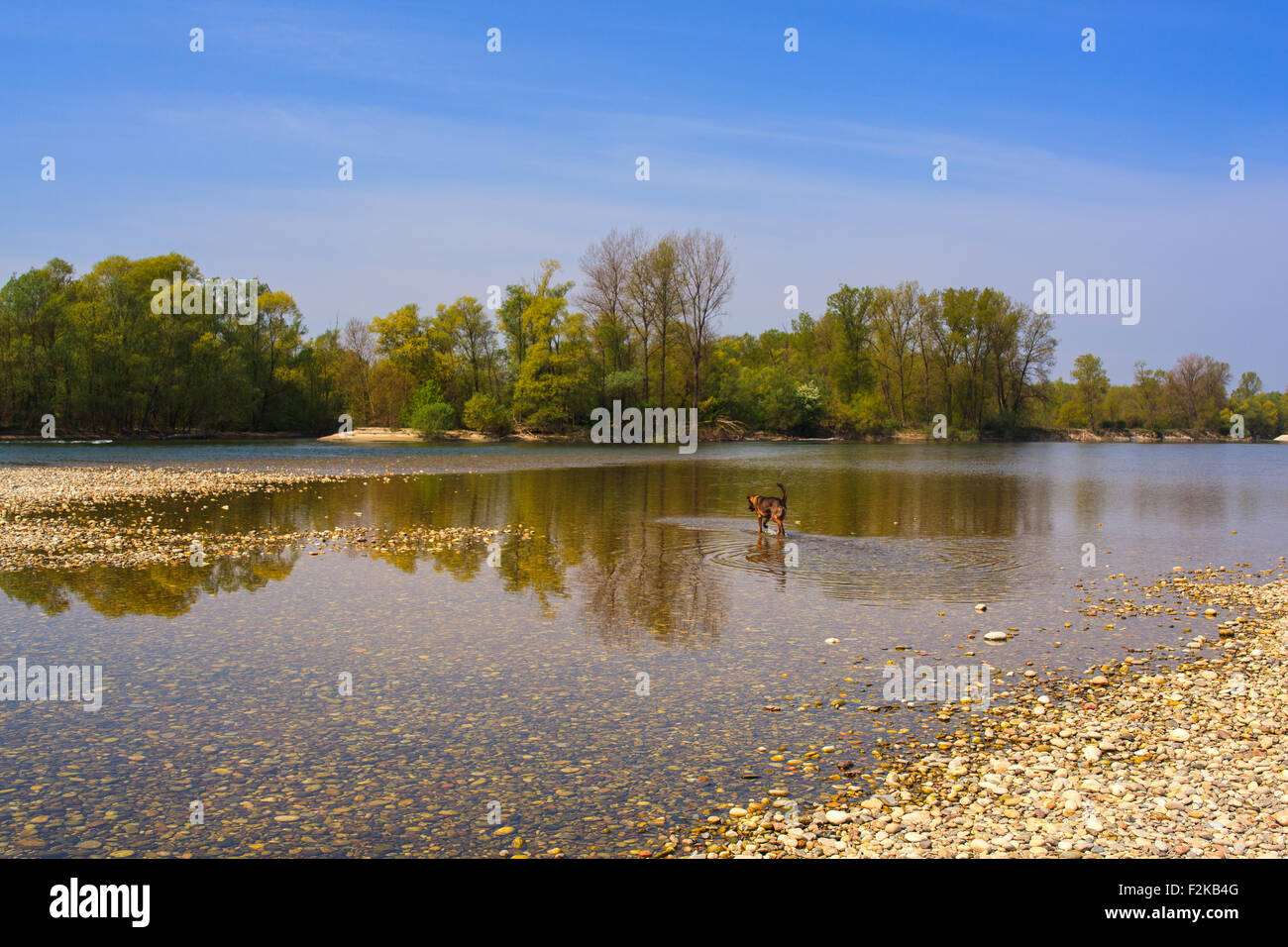 Vista panoramica del fiume Ticino in Italia Foto Stock