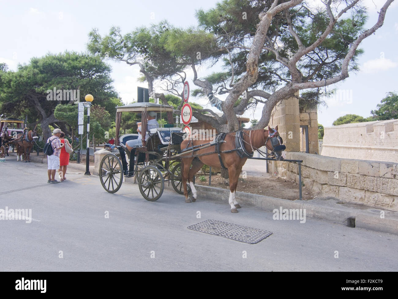 Cavallo e Carrozza squadre in attesa fuori mura della città vecchia Foto Stock