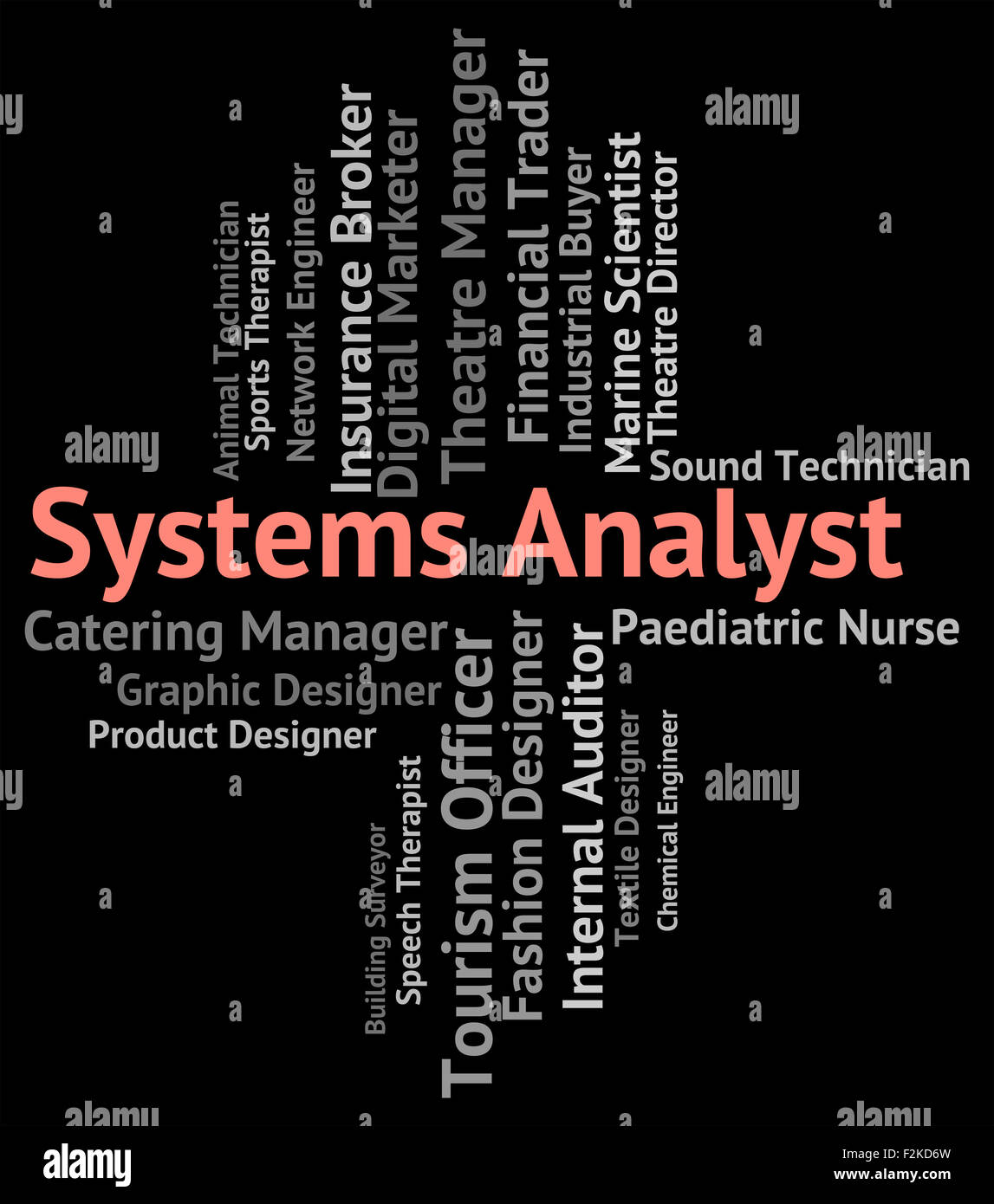 Analista di sistemi di analisi del significato di assunzione e Analyzer Foto Stock