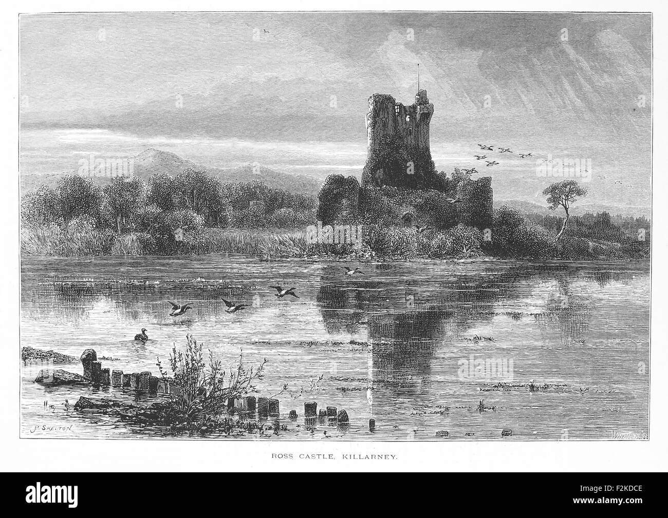 Legno stampa inciso del Castello di Ross, Killarney, Irlanda. Castello di Ross è una quattrocentesca torre casa e tenere sul bordo del Lough Leane, nel Parco Nazionale di Killarney, nella contea di Kerry, Irlanda. Foto Stock