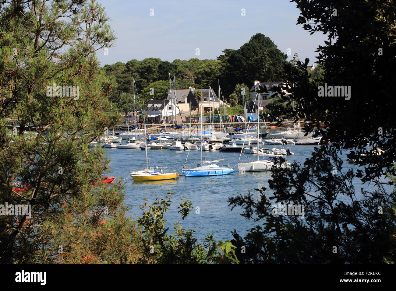 Vista di ile de conleau attraverso gli alberi dalla pointe de la Presqu'île de Langle, Porto Anna, Vannes, Morbihan, in Bretagna, Francia Foto Stock