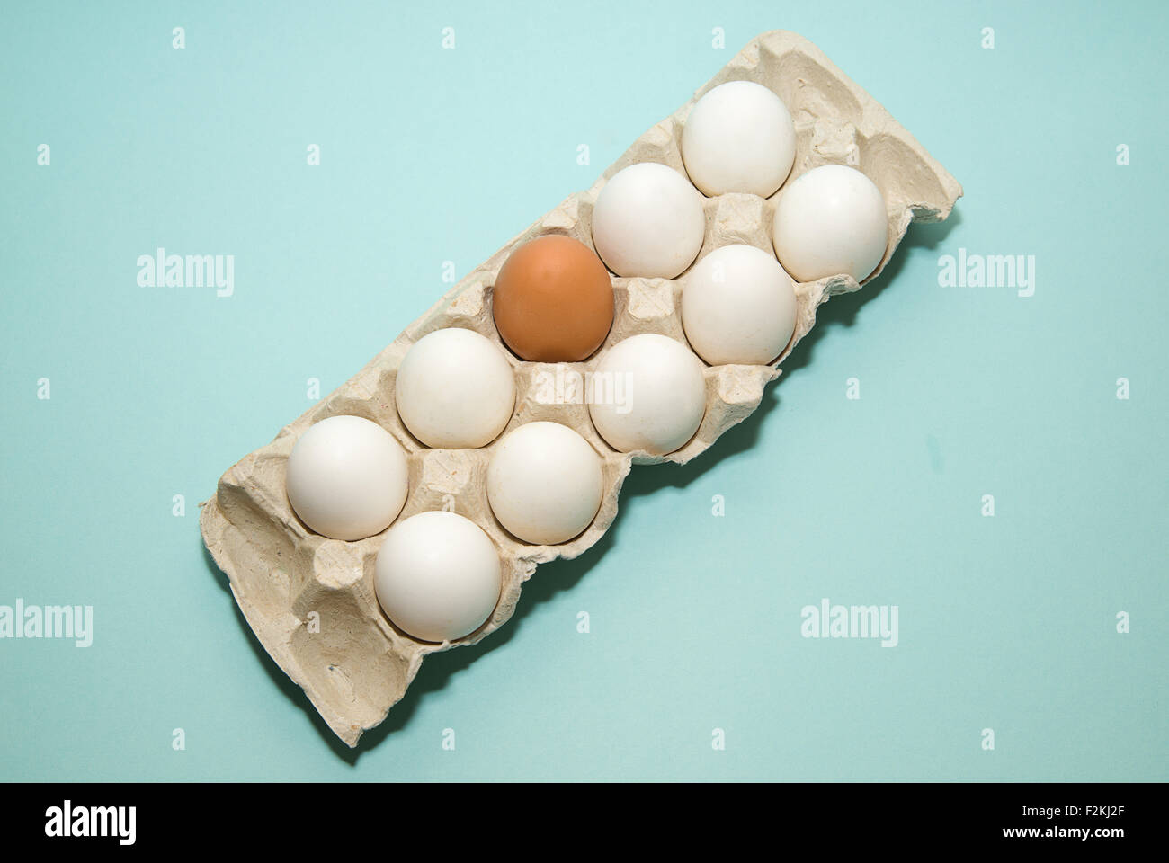 Uova di gallina di diversi colori nella confezione Foto Stock