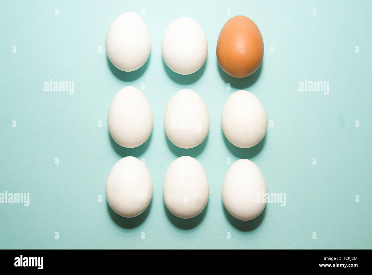 Uova di gallina di diversi colori su sfondo blu Foto Stock