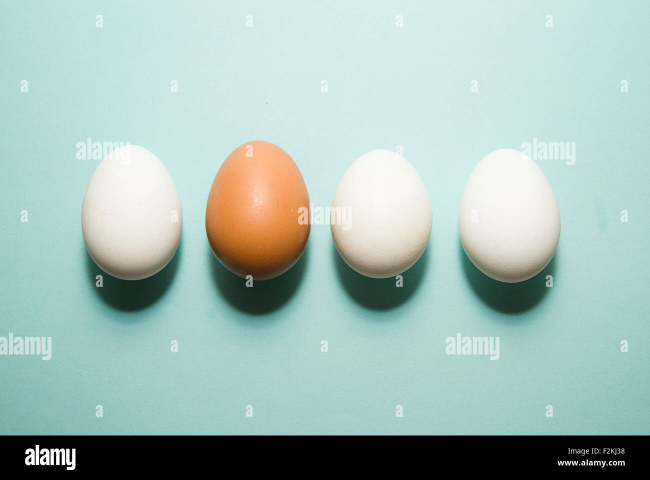 Uova di gallina di diversi colori su sfondo blu Foto Stock