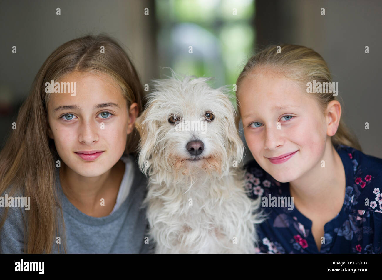 Le ragazze con il cane Foto Stock