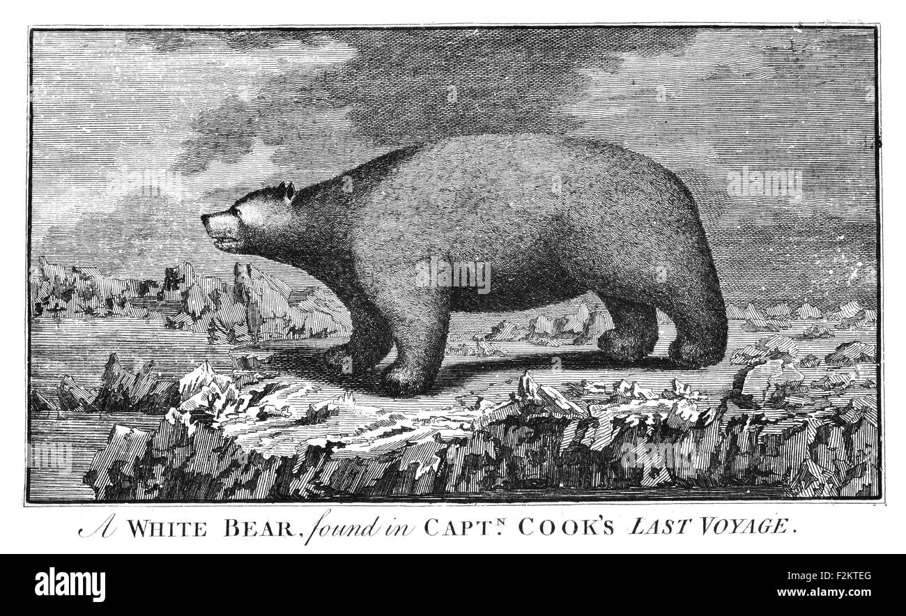 Il capitano James Cook FRS 1728 1779 British Explorer, Navigator, cartografo, capitano della Royal Navy. orso bianco Foto Stock