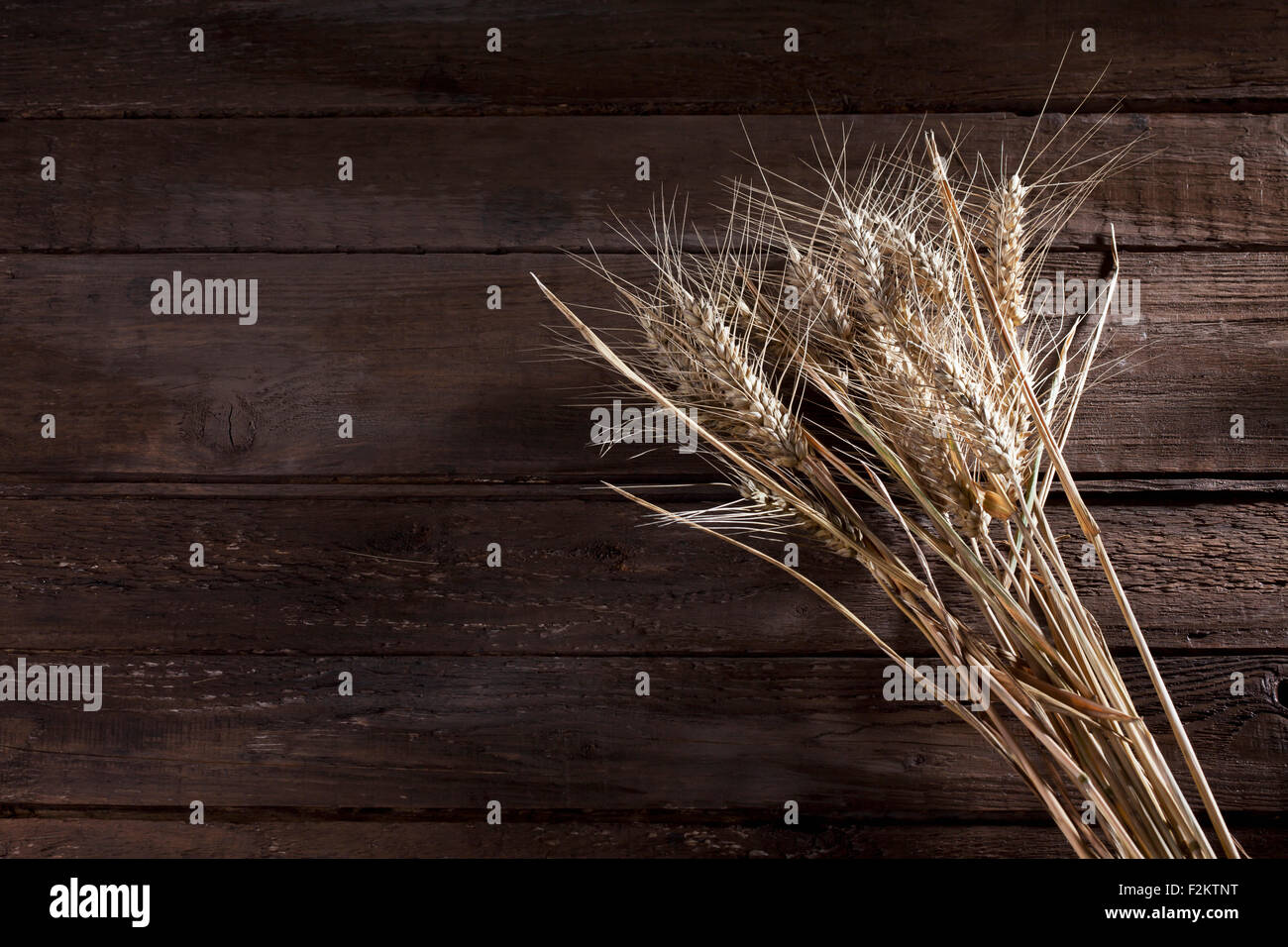 Orzo, Hordeum vulgare, e segale, Secale cereale, su legno Foto Stock