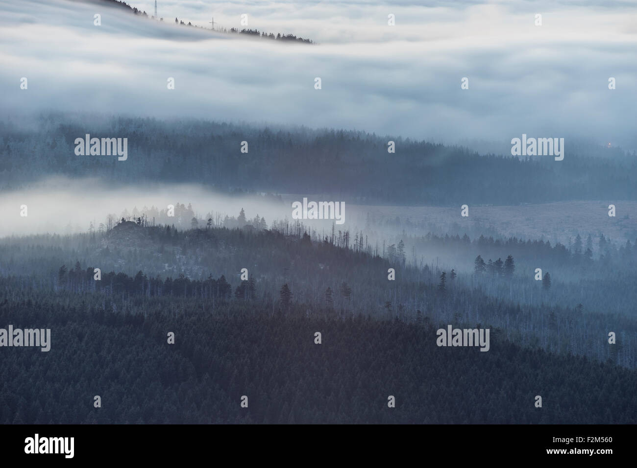 Germania, Sassonia-Anhalt, Parco Nazionale di Harz, inversione atmosferica di sera Foto Stock