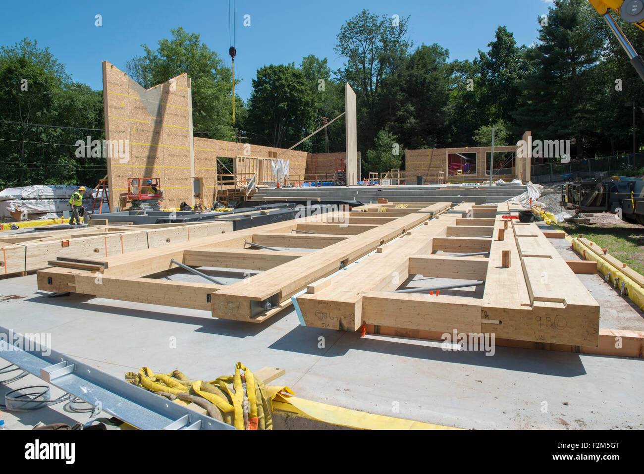 16.000 pound ingegnerizzati in legno travature in legno attendono l'installazione di gru per il Leed Platinum il terreno comune ad alto edificio scolastico. Foto Stock