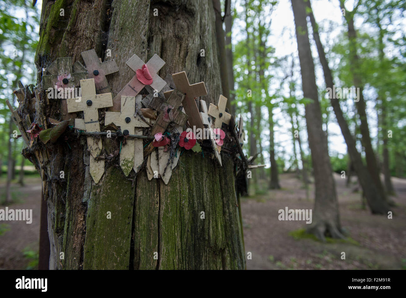 I campi di battaglia delle Fiandre e memoriali Foto Stock