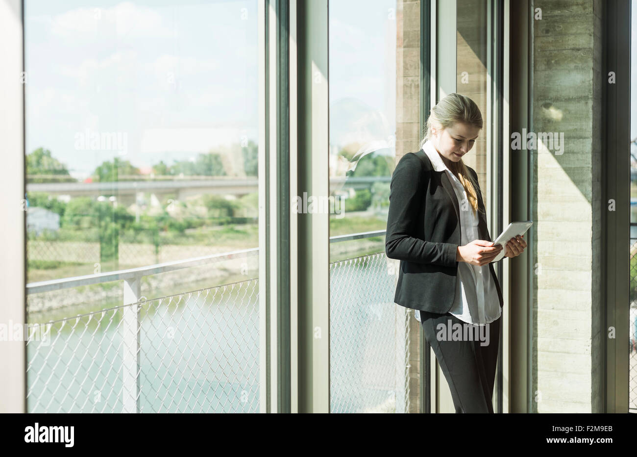 Giovane imprenditrice nella finestra cerca su tavoletta digitale Foto Stock