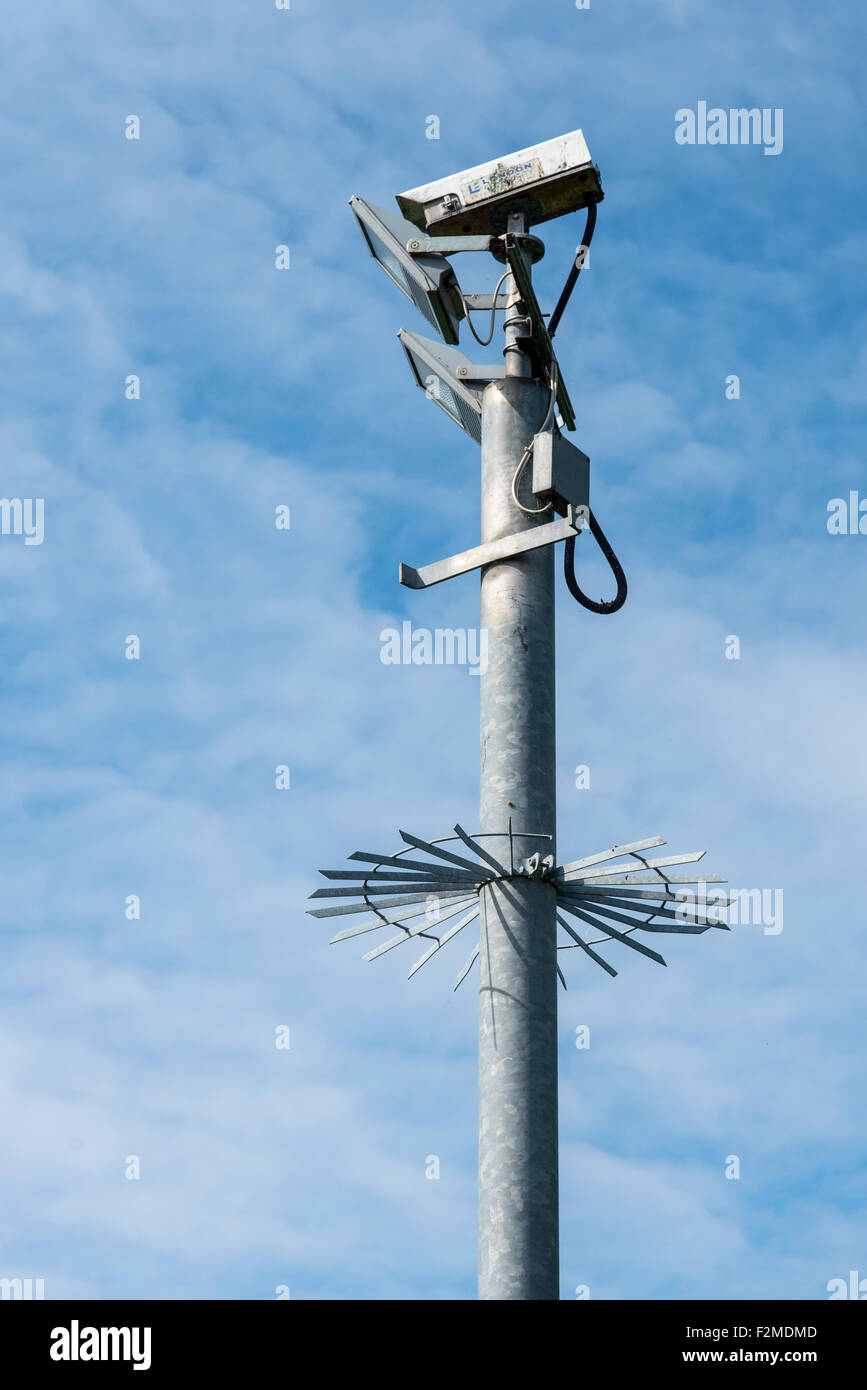 Videocamera di sicurezza con anti vandalo il montaggio Foto Stock
