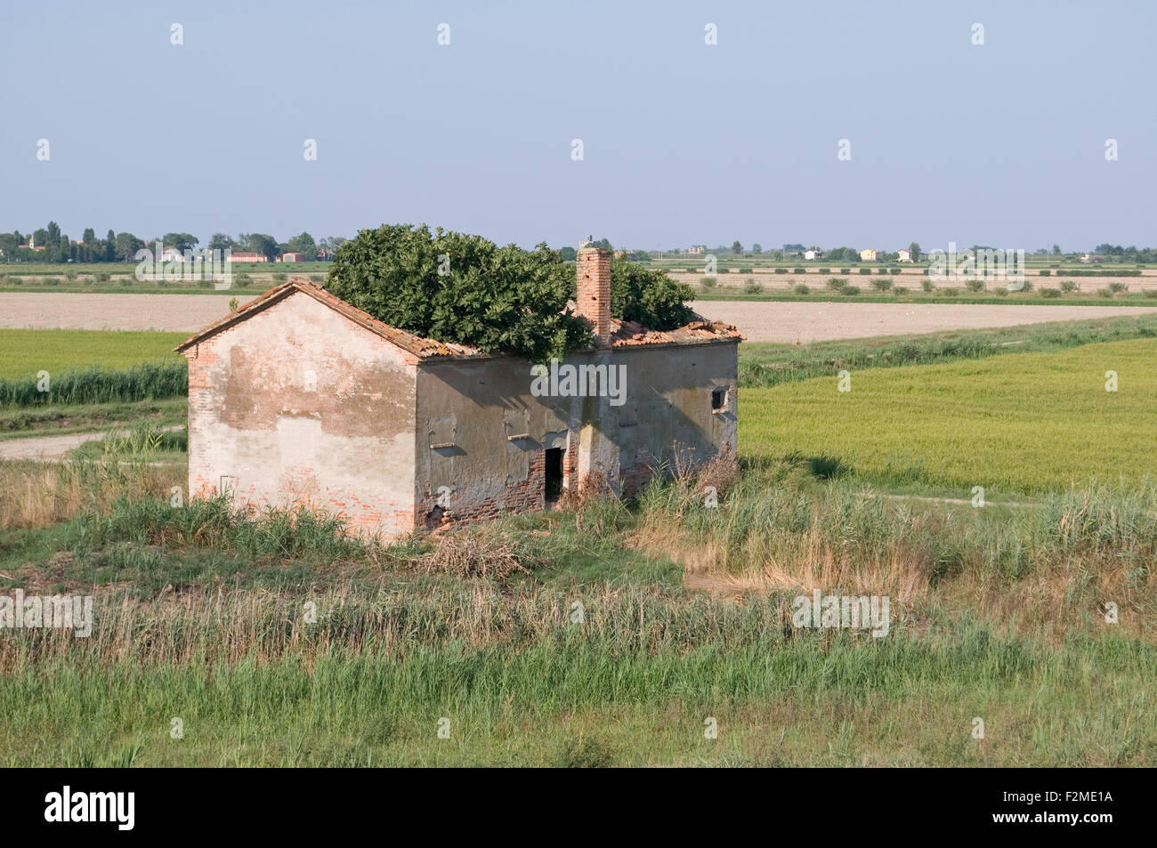 Abbandonato casa rurale, Porto Tolle, Po river park, provincia di Rovigo, regione Veneto, Italia Foto Stock