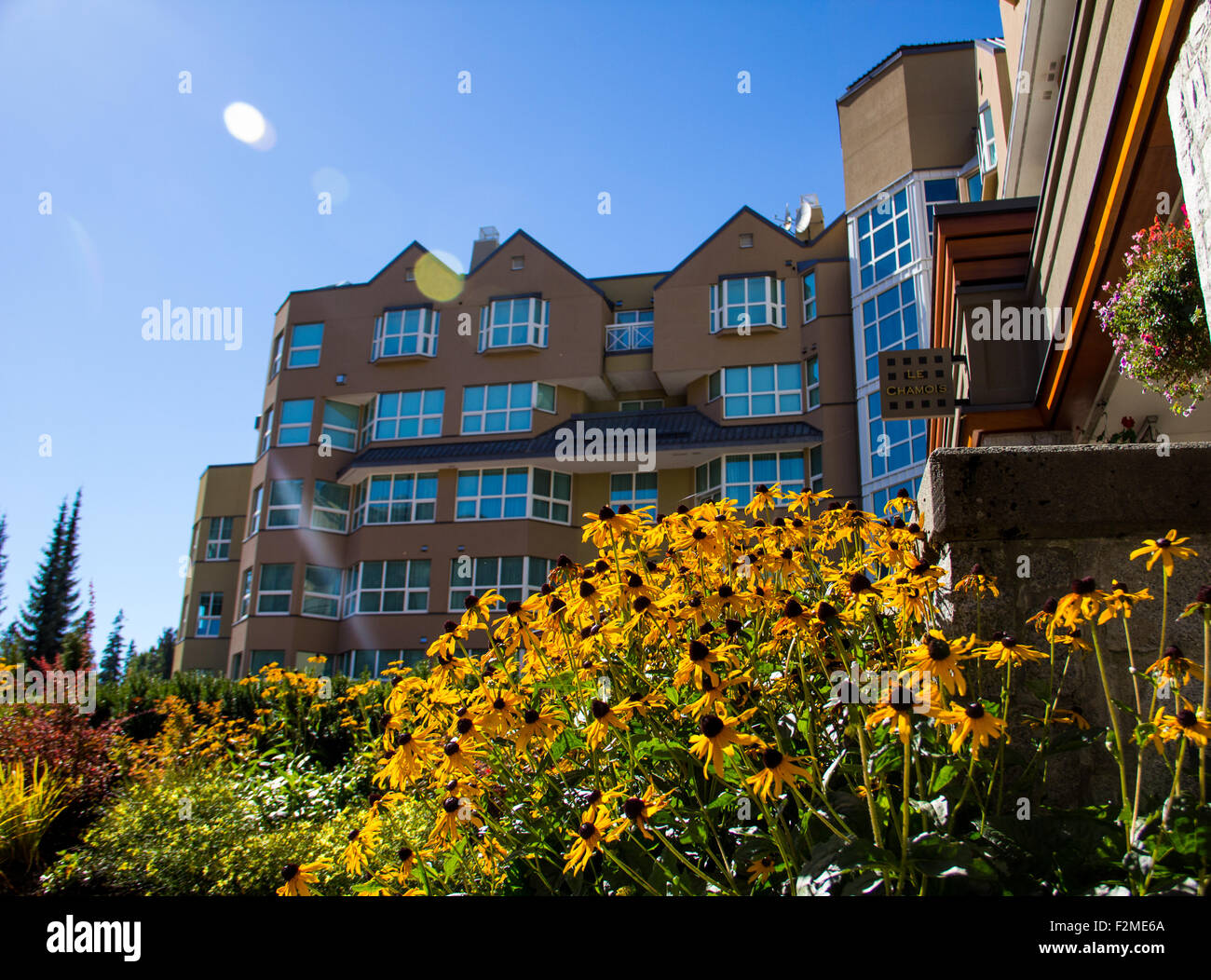 Hotel con splendidi fiori cadono nel resort di Whistler, Canada Foto Stock