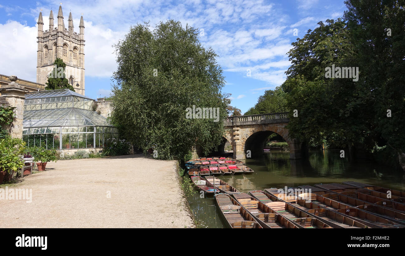 Sterline sul fiume Cherwell al Magdalen Bridge -1 Foto Stock