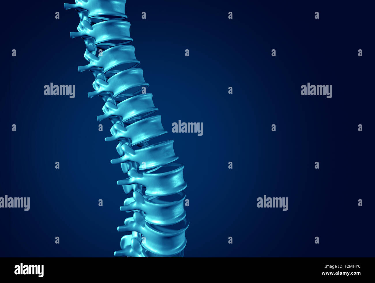 Colonna vertebrale umana concetto come cure mediche simbolo anatomia con scheletro osseo spinale struttura closeup su uno sfondo blu scuro come la copia in bianco lo spazio. Foto Stock