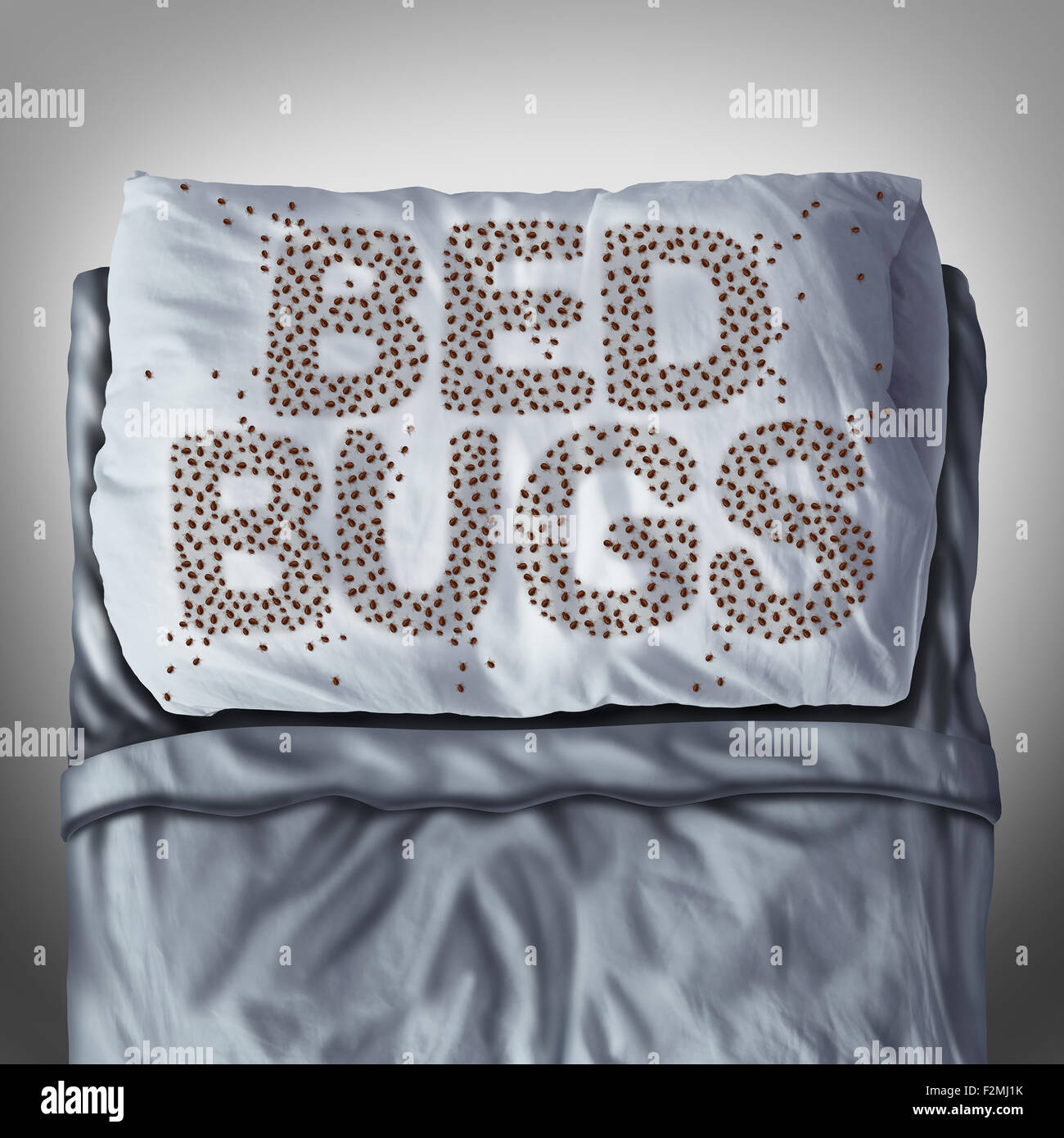 Bed bug sul cuscino e nel letto come una infestazione bedbug concetto conformato come lettere di testo come parassita pesti di insetto sotto i fogli per un'igiene sanitaria simbolo e metafora del parassita bite pericolo all'interno di un materasso. Foto Stock