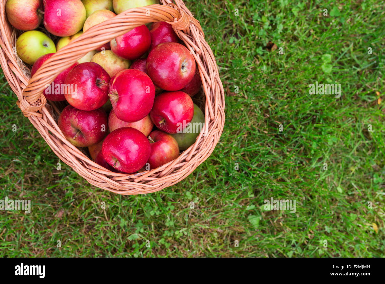 Cesto in Vimini pieno di mature mele rosse prevista su un'erba Foto Stock