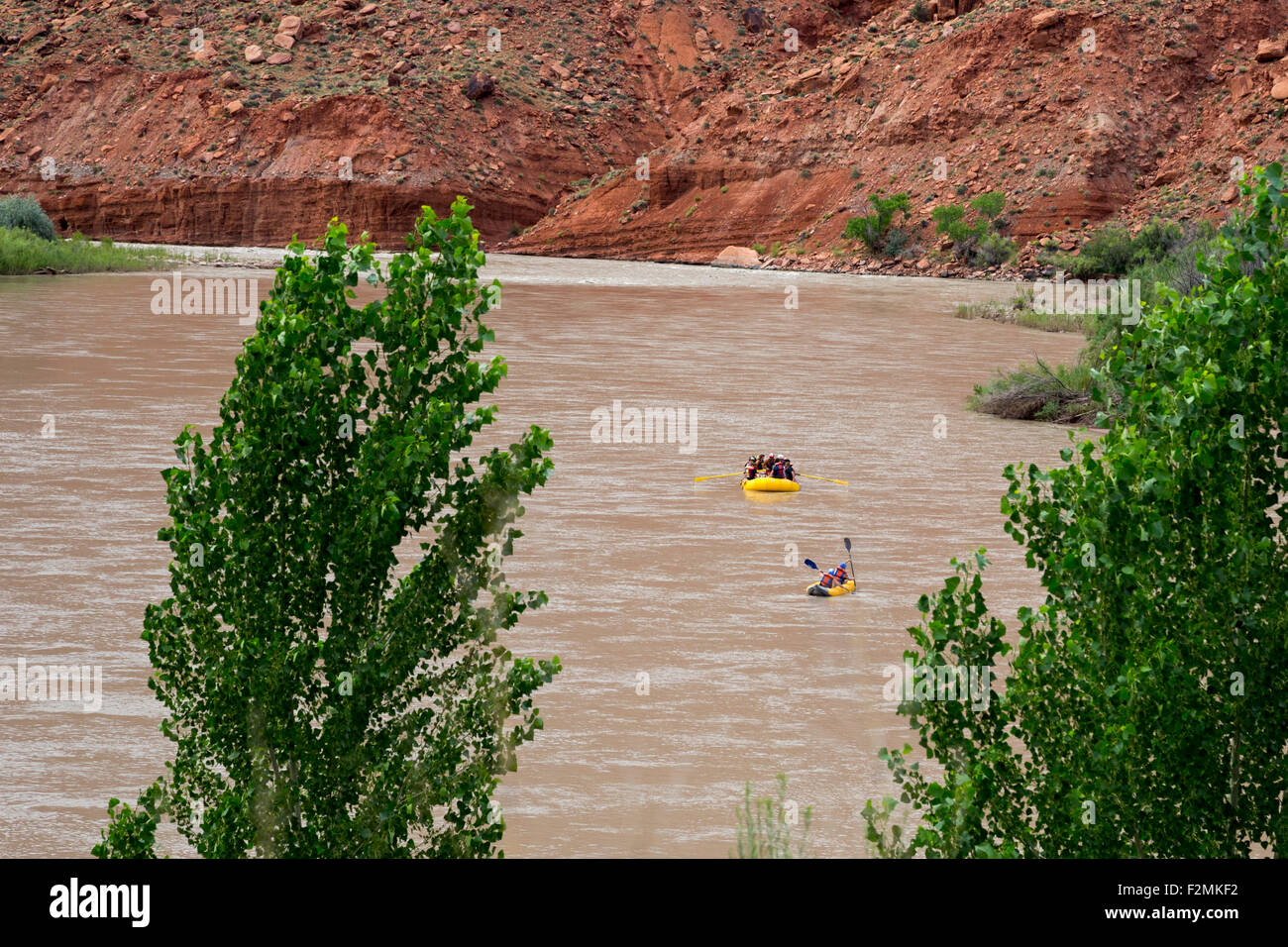 Moab Utah - Puntoni flottazione verso il basso il fiume Colorado. Foto Stock