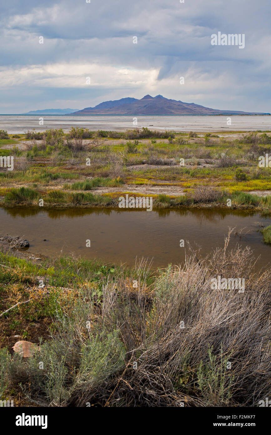 Salt Lake City, Utah - Il Lee Creek area sul bordo del Grande Lago Salato, gestito come un santuario della fauna selvatica di Audobon. Foto Stock