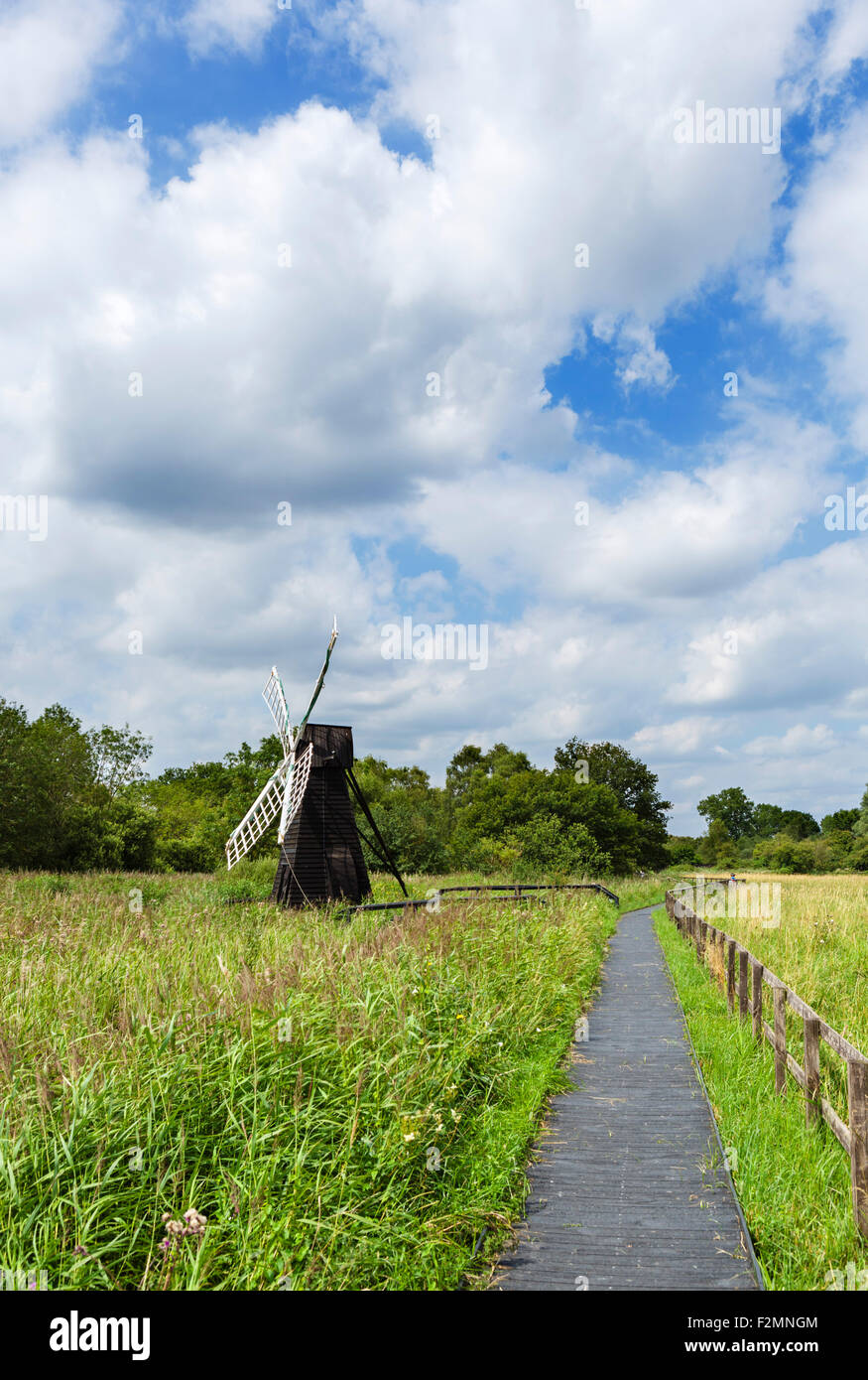 Sentiero attraverso Wicken Fen, una zona umida riserva naturale vicino a Wicken, Cambridgeshire, England, Regno Unito Foto Stock