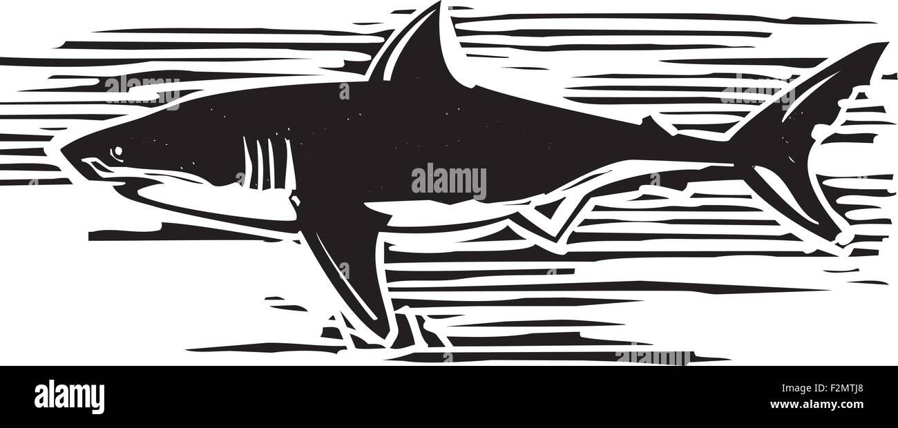 Xilografia stile immagine di un grande squalo bianco Illustrazione Vettoriale