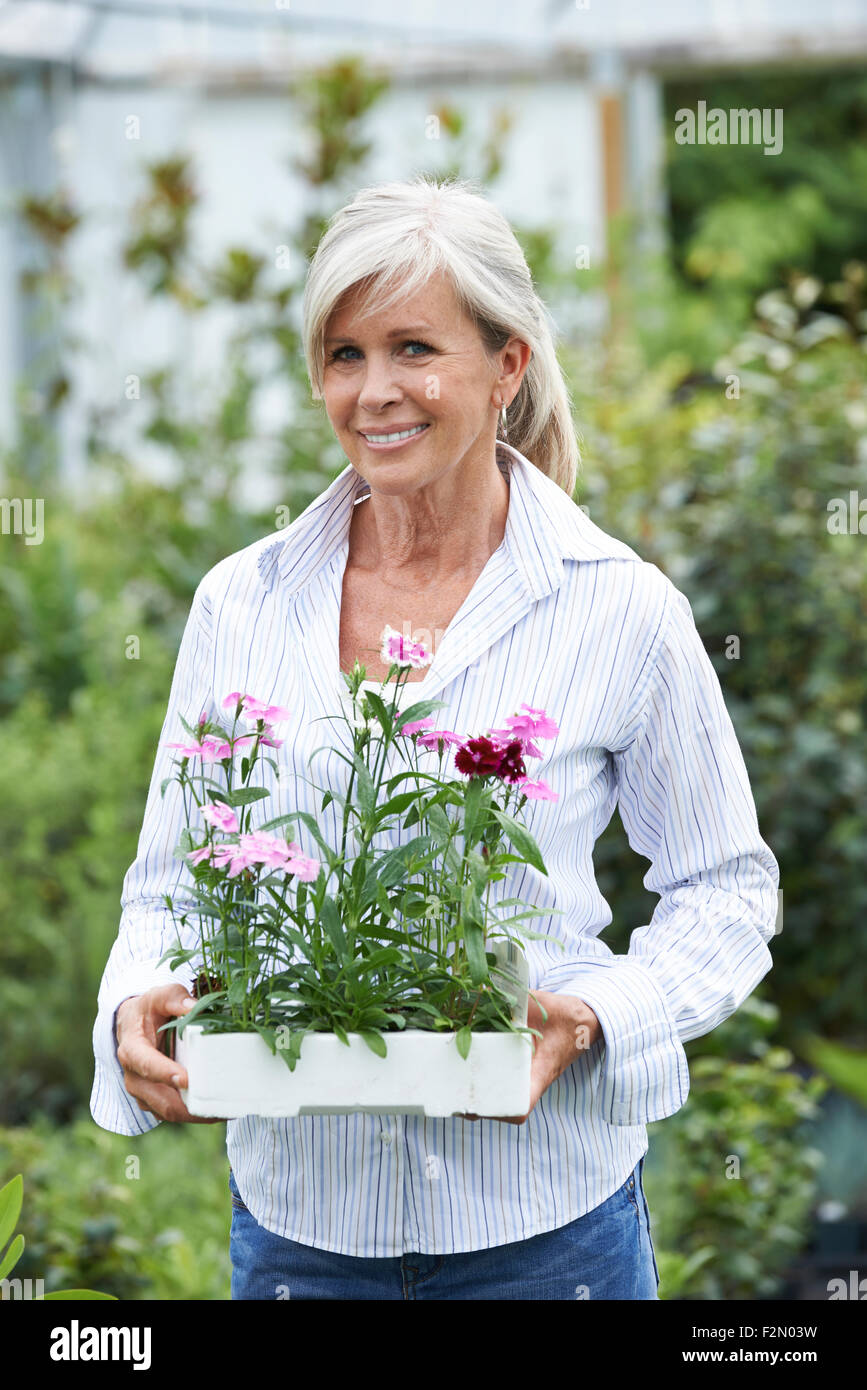 Donna matura la scelta di piante al Centro giardino Foto Stock