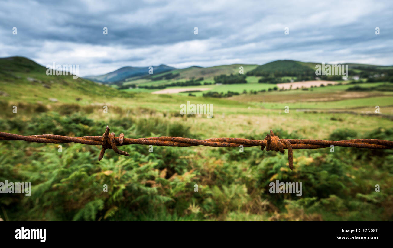 Paesaggio panoramico del paesaggio rurale con Rusty Il Filo spinato in primo piano Foto Stock