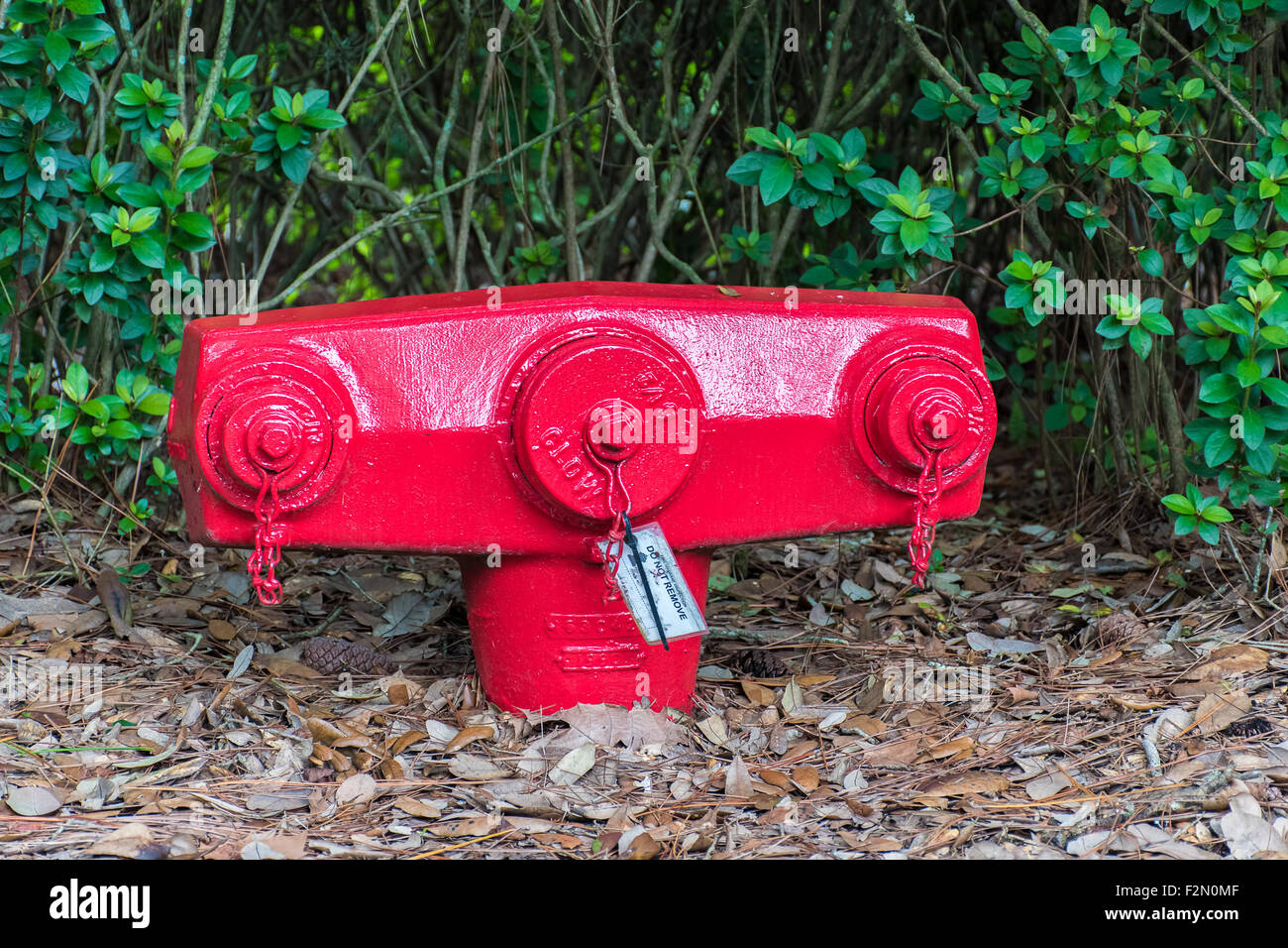 Red American idrante di fuoco Foto Stock