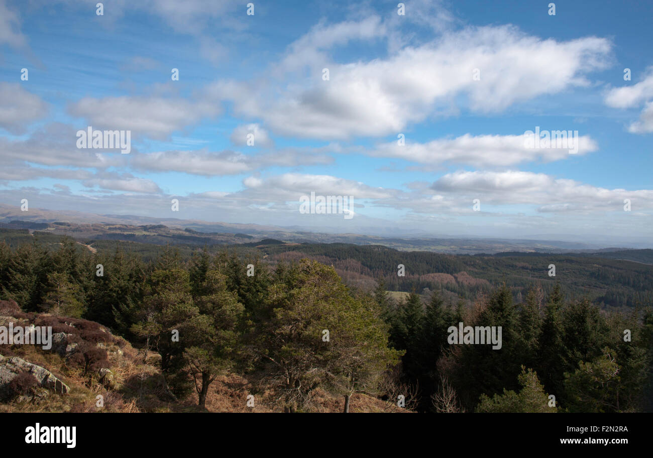 Una vista in lontananza la Pennine Hills dal Carron Crag Grizedale Forest Lake District Cumbria Inghilterra England Foto Stock
