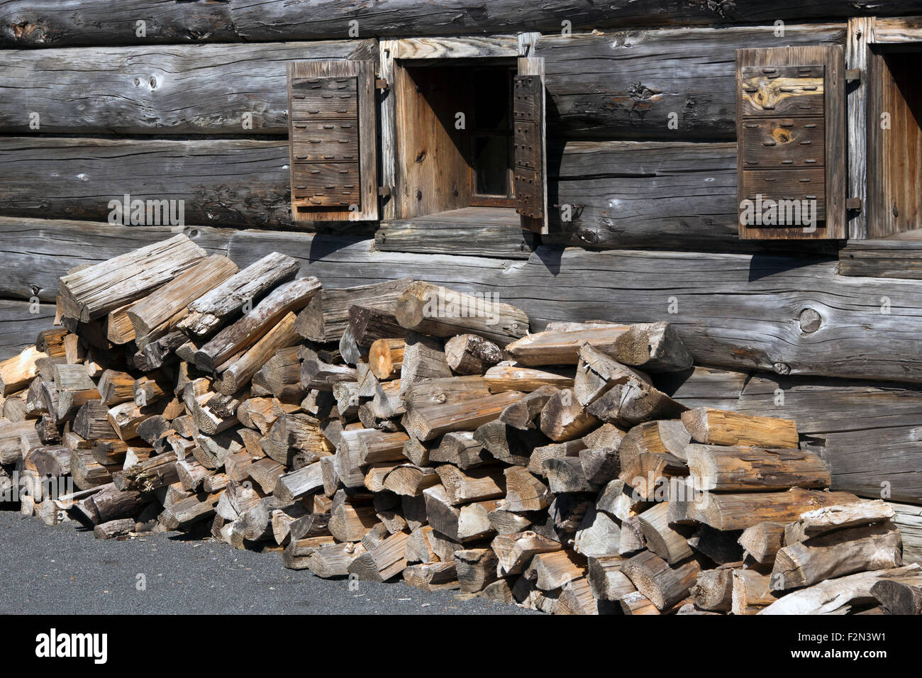 I registri di taglio di legna da ardere impilati uno accanto ad una parete di log cabin. Foto Stock