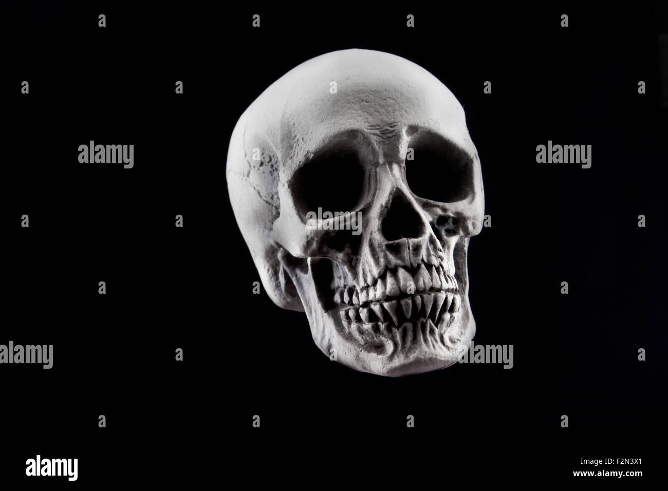 Un cranio di Halloween decorazione isolata su uno sfondo nero Foto Stock